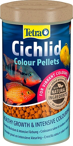 Tetra Cichlid Colour 3 Tetra Cichlid Colour