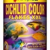Tropical Cichlid Color XXL Size -Aquarium-Ausrüstungsgeschäft 172275